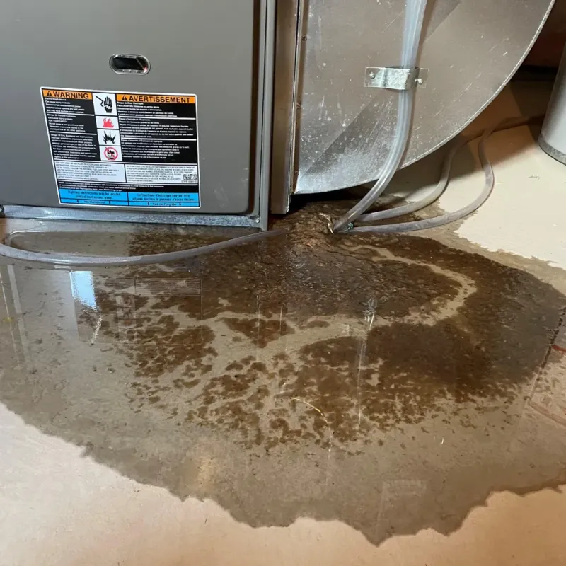 Appliance Leak Cleanup in Cold Spring, MN